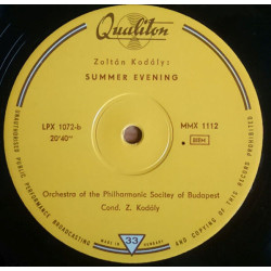 Concerto Per Orchestra / Summer Evening