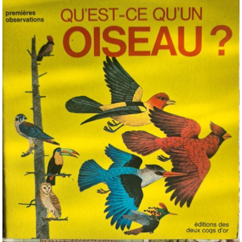 Qu'est-ce qu'un oiseau