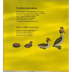 Qu'est-ce qu'un oiseau