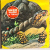Bonjour Madame la Tortue bonne nuit