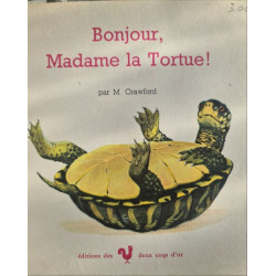 Bonjour Madame la Tortue bonne nuit