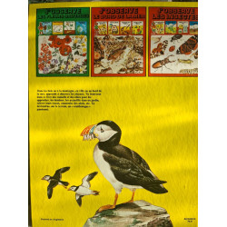 J'observe les oiseaux