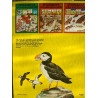 J'observe les oiseaux
