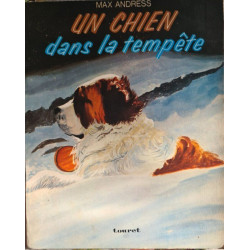 Un chien dans la tempête