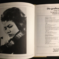 Die Großen Violinkonzerte - Great Violin Concertos