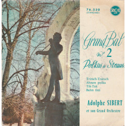 Grand Bal N°2 Polkas De Strauss