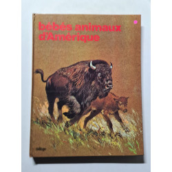 Bébés animaux d'Amérique