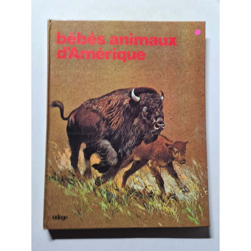 Bébés animaux d'Amérique