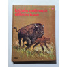 Bébés animaux d'Amérique