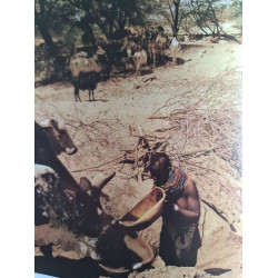 Atlas de l'humanité