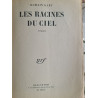 Les racines du ciel