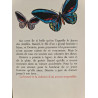 La couleur de l'amour
