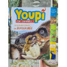 Youpi ! J'ai compris ! La grande histoire des dinosaures nº 236- 2015