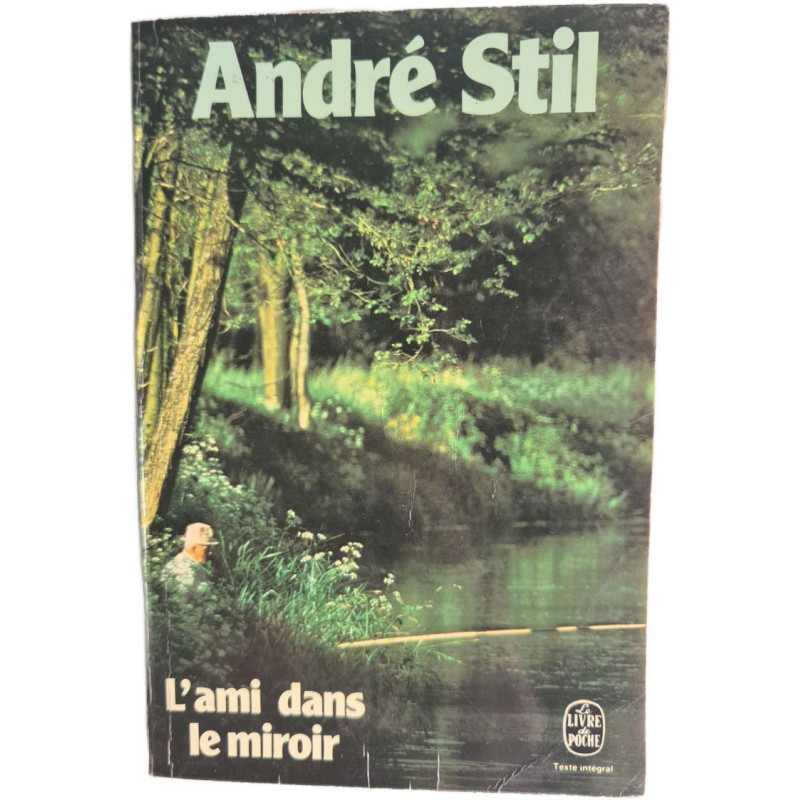L'ami dans le miroir