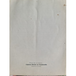 Guide des champignons
