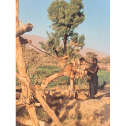 Deserts