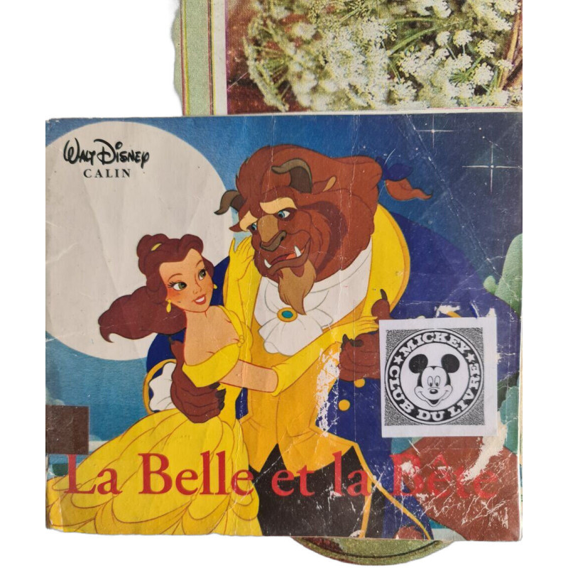 La Belle et la Bête