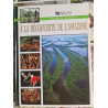 À la découverte de l'Amazone