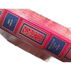 De Gaulle : L'appel du destin