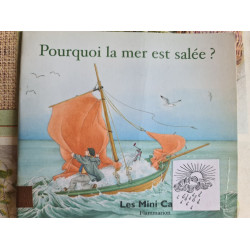 Pourquoi la mer est salée