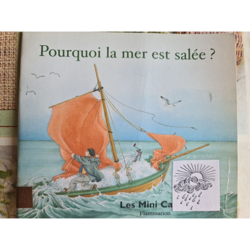 Pourquoi la mer est salée