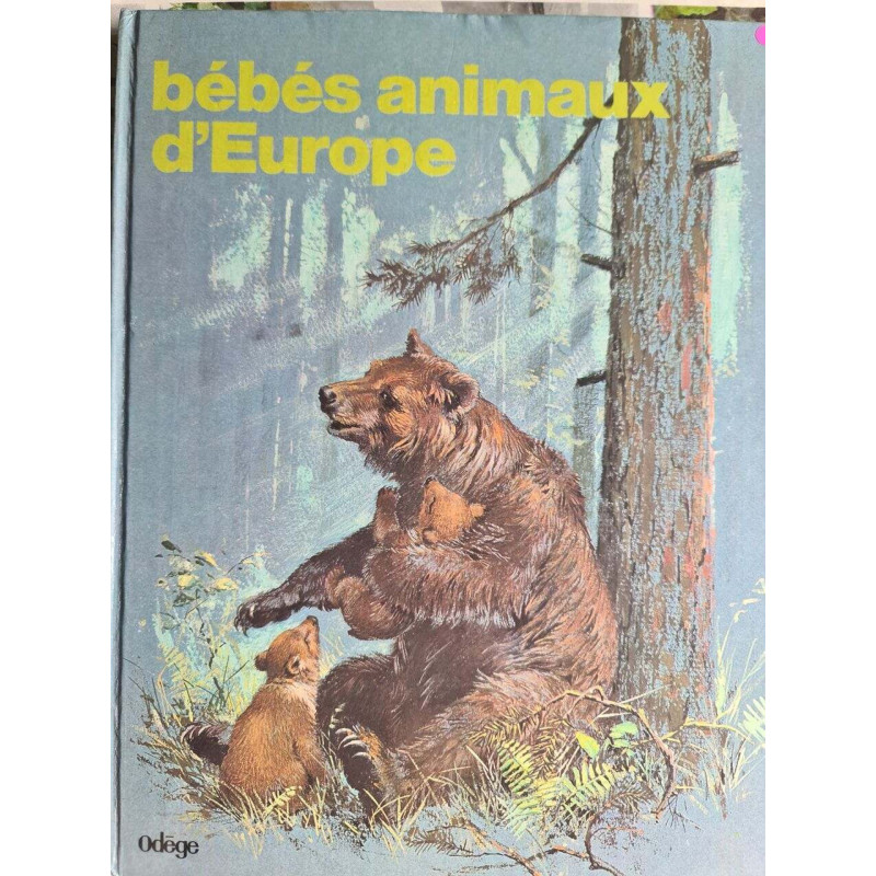 Bébés animaux d'Europe