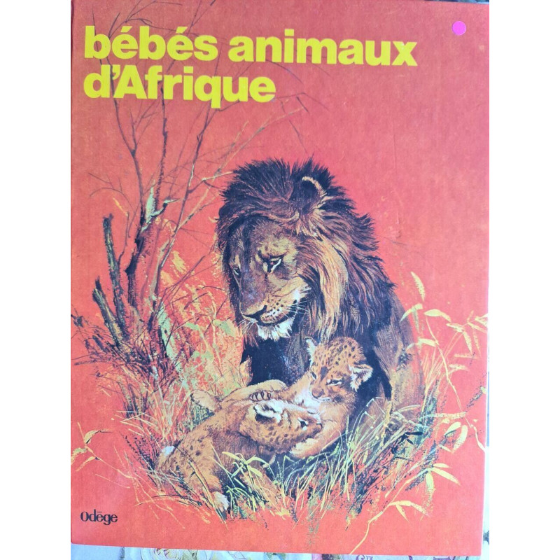 Bébés animaux d'Afrique