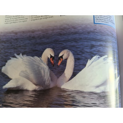 La vie secrète des rivières