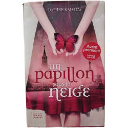 Un papillon sous la Neige