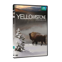 Yellowstone la lutte pour la vie - Neuf sous blister