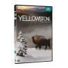 Yellowstone la lutte pour la vie - Neuf sous blister