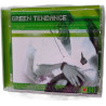 Green Tendance