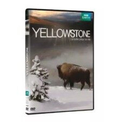 Yellowstone la lutte pour la vie - Neuf sous blister