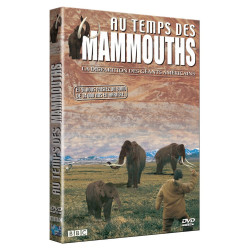 Au temps des mammouths vol. 3 : la disparition des géants...