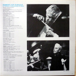 A Vienne Au Temps Des Strauss