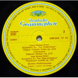 A Vienne Au Temps Des Strauss