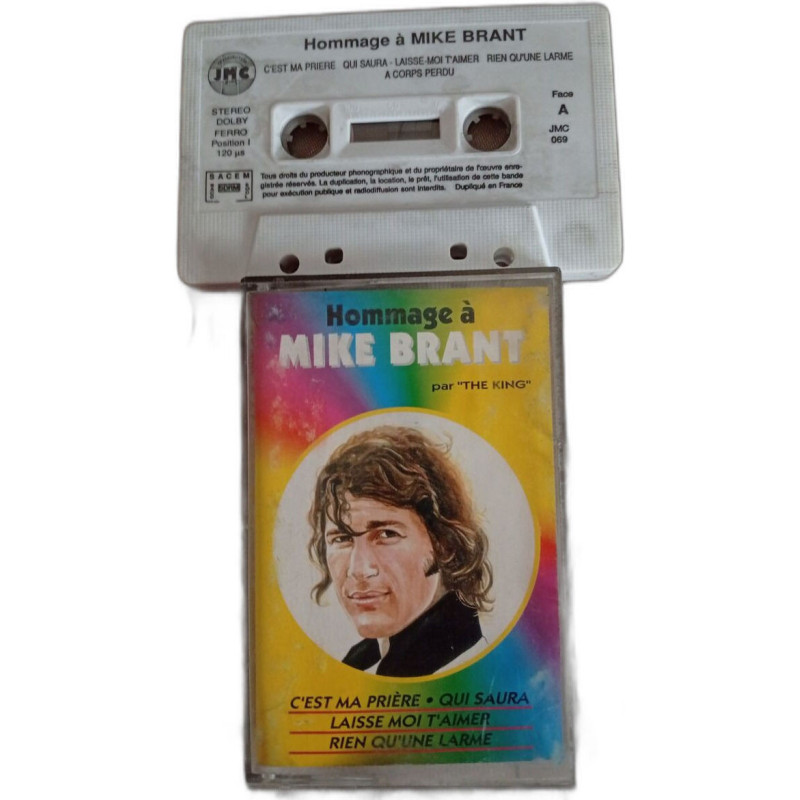 Hommage à Mike Brant