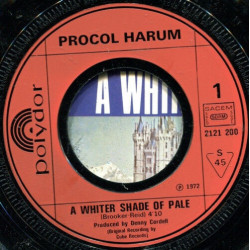 A Whiter Shade Of Pale / A Salty Dog