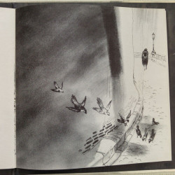 Adieu Little Sparrow