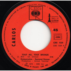 Tout Nu Tout Bronzé
