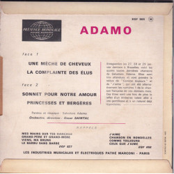 Une Mèche De Cheveux