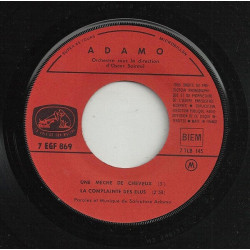 Une Mèche De Cheveux