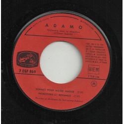 Une Mèche De Cheveux