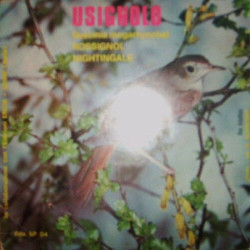 Usignolo (Luscinia megarhyncha)