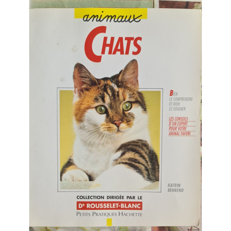 Animaux Chats