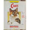 Animaux Chats