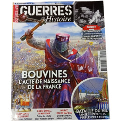 Guerres et Histoire n°35