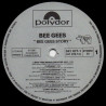 Bee Gees Story