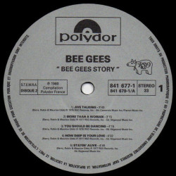 Bee Gees Story