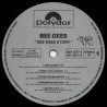 Bee Gees Story